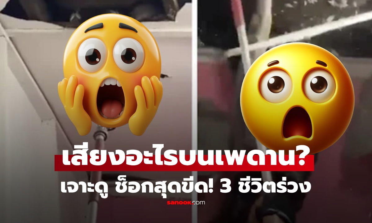 เจ้าของบ้านผวา เสียงปริศนาบนเพดานดังอยู่หลายวัน ก่อนเจาะฝ้าดู พบ 3 ชีวิตร่วง เฉลยเต็มตา!!