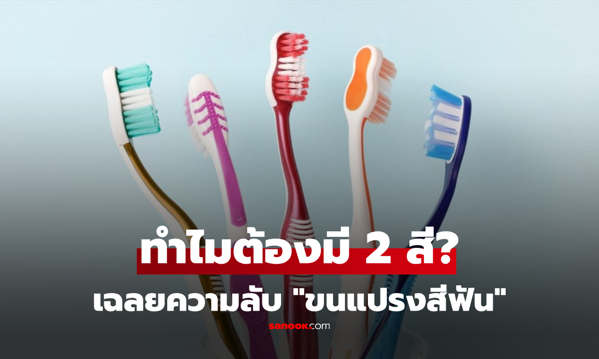 ทำไม "ขนแปรงสีฟัน" มักมี 2-3 สีในด้ามเดียว? เฉลยสัญญาณเตือนที่คน 90% ทิ้งไปโดยไม่รู้!