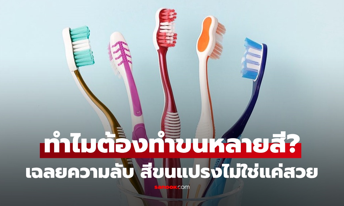 เพิ่งบรรลุวันนี้! ทำไมขนแปรงสีฟันต้องมีหลายสี? เฉลยแล้วไม่ใช่แค่สวย แต่มีเหตุผลมากกว่านั้น