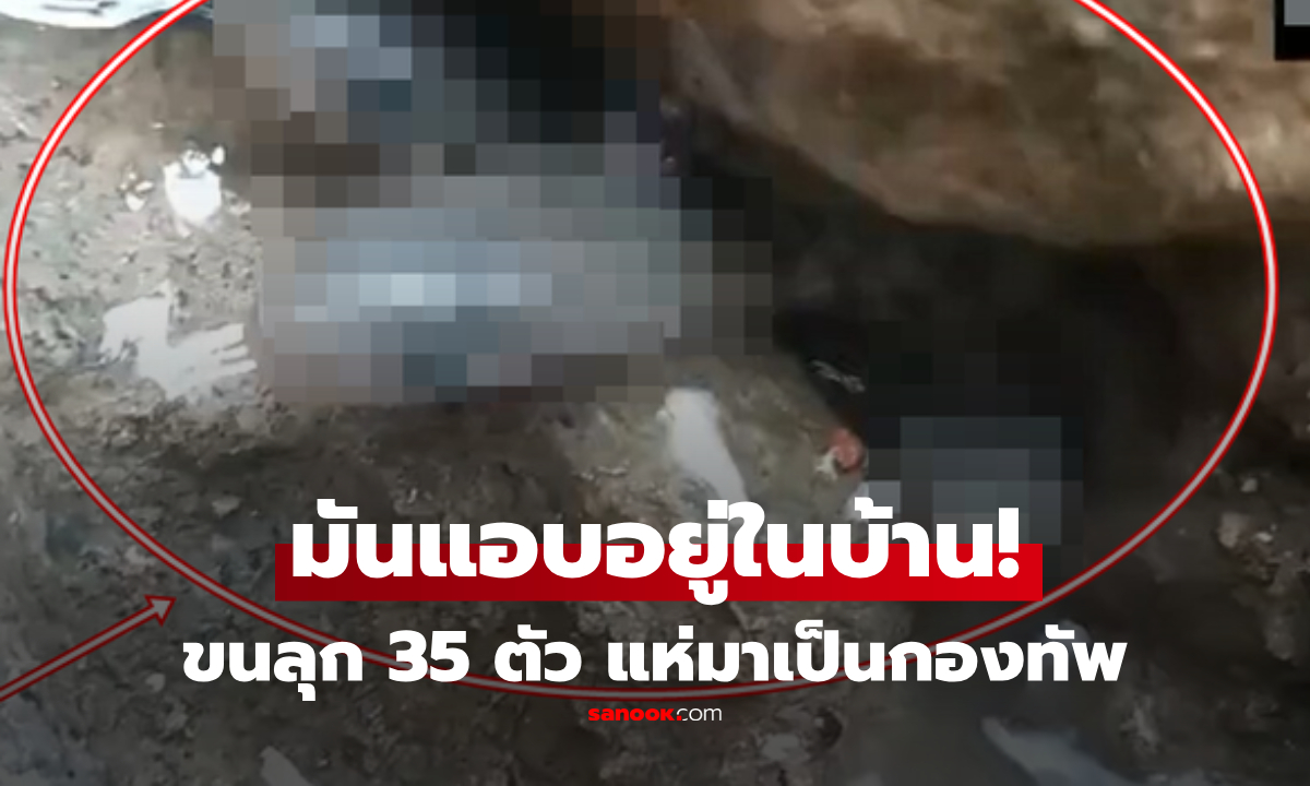 ขนลุกซู่! เสียงก๊อกแก๊กในบ้านใหม่ หนุ่มใจเด็ดล้วงมือเข้าซอก ดึง 