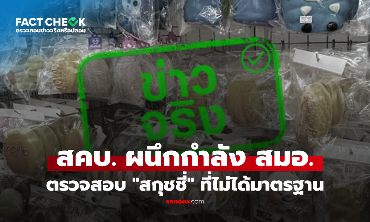 สคบ. ผนึกกำลัง สมอ. ตรวจสอบของเล่น "สกุชชี่" ที่ไม่ได้มาตรฐาน จริงหรือไม่? : เช็กข่าวชัวร์