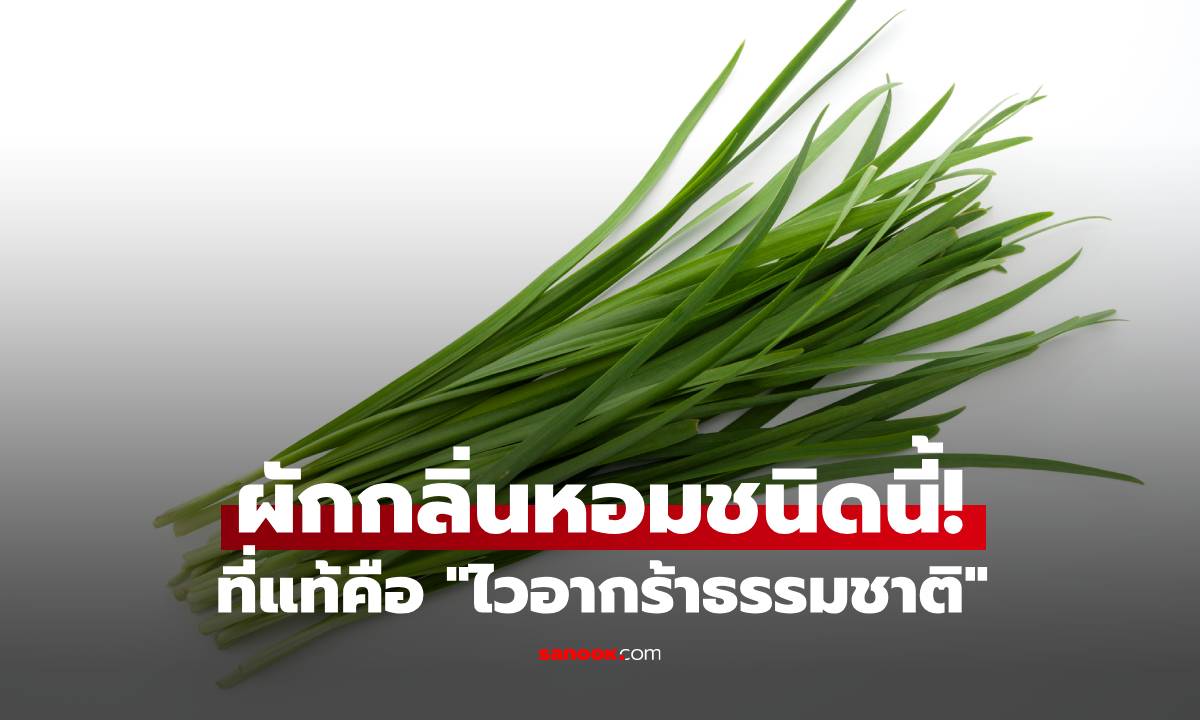 ผักกลิ่นหอมชนิดนี้! ที่แท้คือ "ไวอากร้าธรรมชาติ" บำรุงชายได้ดีเยี่ยม แถมคือยาดีรอบด้าน!