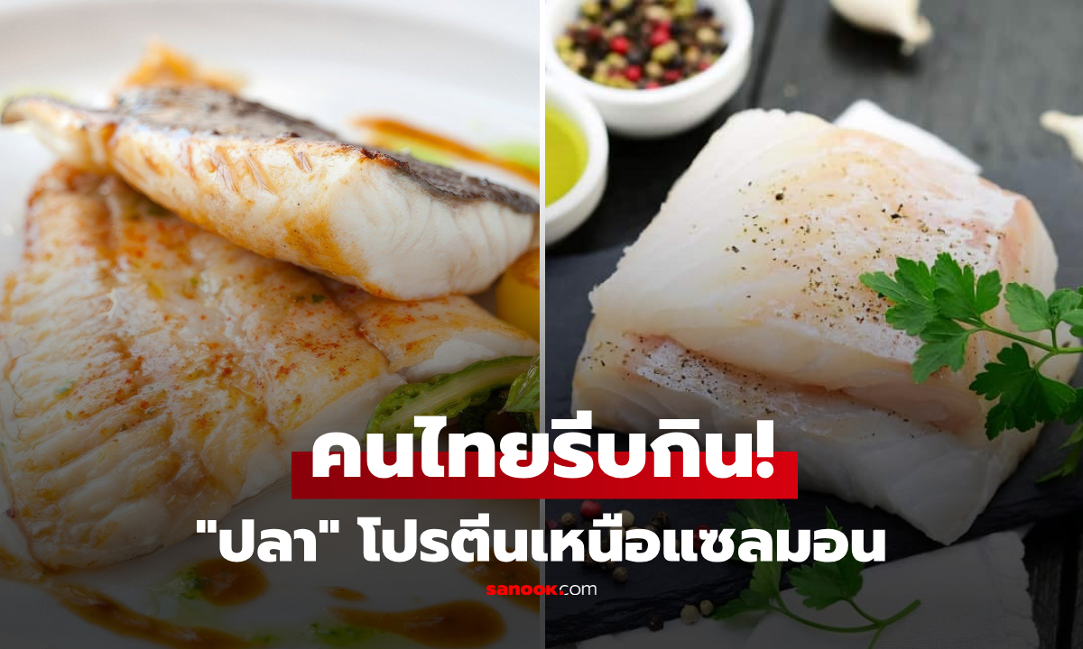 รู้ไหม? ไทยมีปลาเนื้อนุ่ม "ขุมทรัพย์" แห่งสารอาหาร กูรูอเมริกันอวยยศ โปรตีนสูงกว่าแซลมอน!
