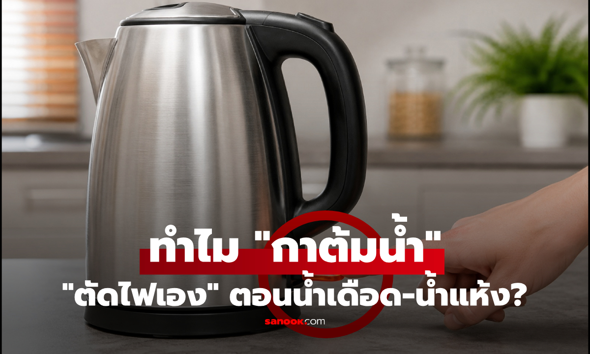 ทำไม "กาน้ำร้อนไฟฟ้า" ถึงตัดไฟเองได้ตอนน้ำเดือด-น้ำแห้ง? เฉลยอยู่ที่กลไกลับชิ้นนี้!