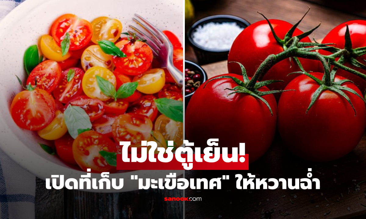 ไม่ใช่ตู้เย็น! เปิดพิกัดเก็บ "มะเขือเทศ" ให้หวานนาน-ฉ่ำน้ำ รสชาติไม่จืดชืด