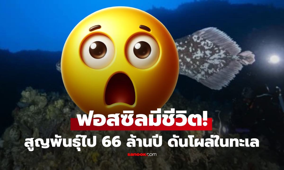 ตะลึง! ปลาที่คิดว่าสูญพันธุ์ 66 ล้านปีก่อน โผล่ว่ายในทะเลลึก นักวิทย์พบอายุขัย 100 ปี ตั้งครรภ์ 5 ปี