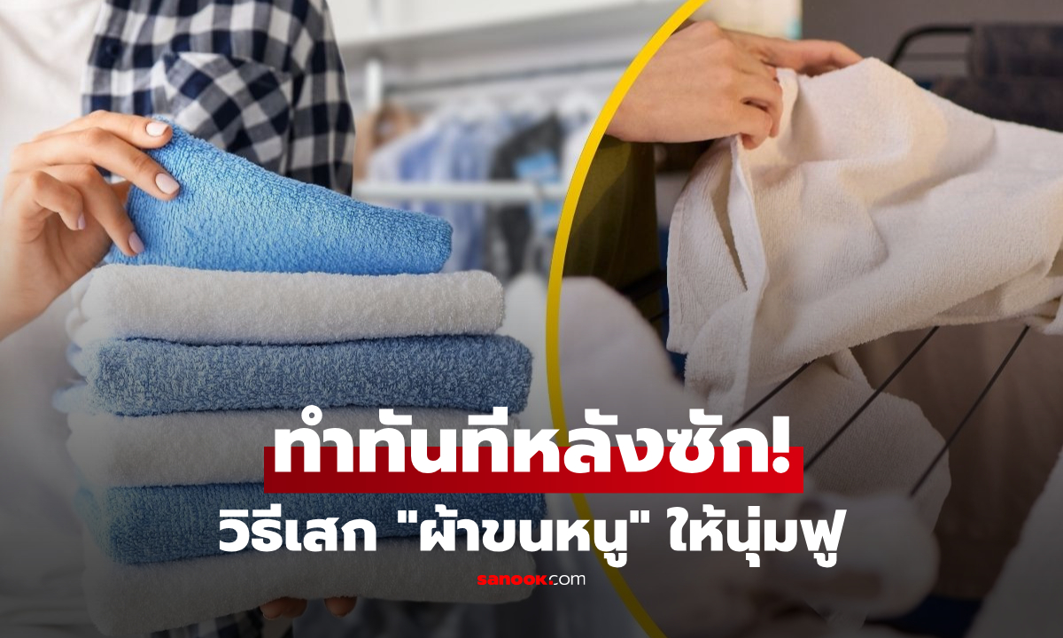 ทำทันทีหลังซักเสร็จ! เสก "ผ้าขนหนู" ให้นุ่มฟูเหมือนใหม่ ด้วยวิธีฟรีง่ายๆ ที่หลายคนข้ามไป