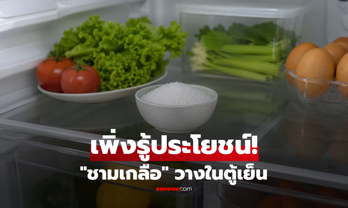 จะเกิดอะไรขึ้น? ถ้าวาง "ถ้วยเกลือ" ในตู้เย็น 1 สัปดาห์ ทำถูกวิธีช่วยเซฟทั้งอาหาร-ค่าไฟ!