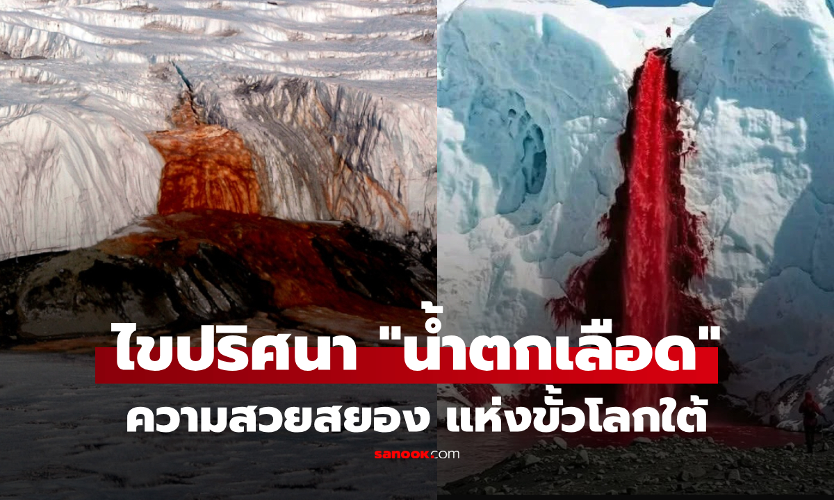 ไม่ใช่สาหร่าย! “น้ำตกเลือด” แห่งแอนตาร์กติกา ทำไมถึงแดงฉาน? ปริศนา 100 ปี ที่นักวิทย์เพิ่งรู้คำตอบ