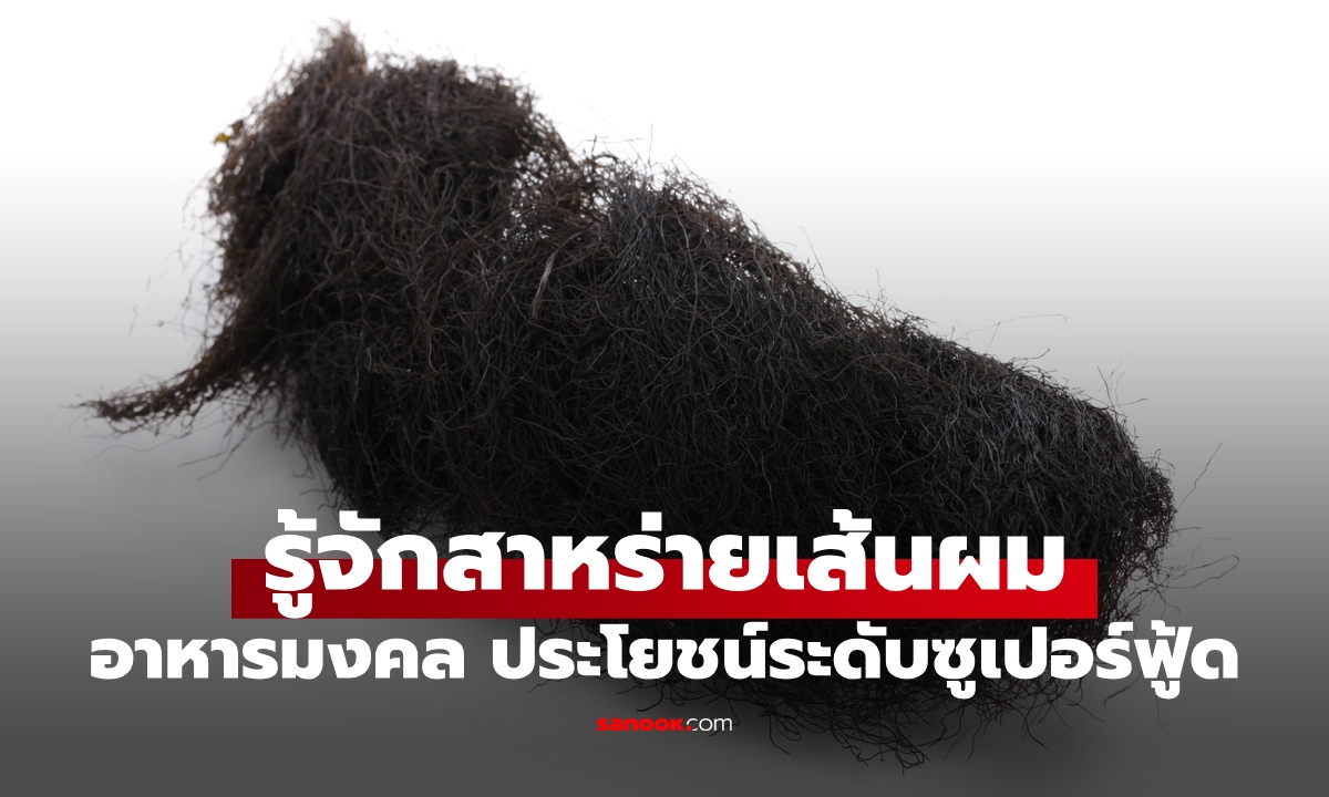 รู้จัก "สาหร่ายเส้นผม" โดนบูลลี่เหมือนขนที่ลับ แท้จริงเป็นอาหารมงคล กินแล้วรวย