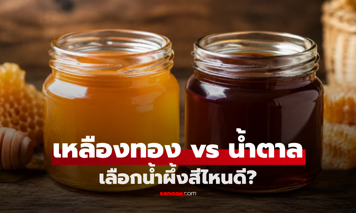 "เหลืองทอง vs น้ำตาล" เลือกน้ำผึ้งสีไหนดี? สรุปม้วนเดียวจบ ทั้งรสชาติและโภชาการ!