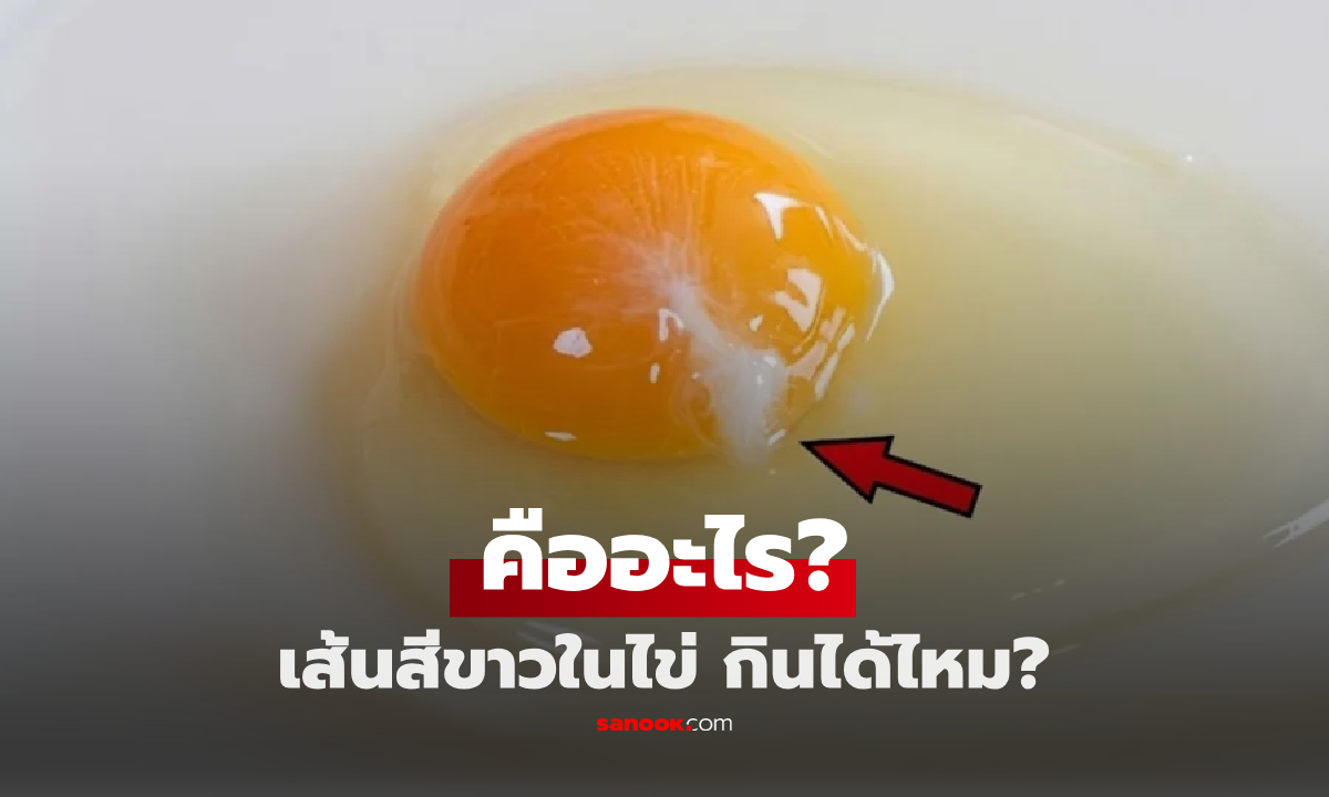 ตอกเจอเส้นสีขาวๆ ติดไข่แดง ยังกินได้ไหม? ชวนรู้จักสัญญาณที่หลายคนเข้าใจผิด!