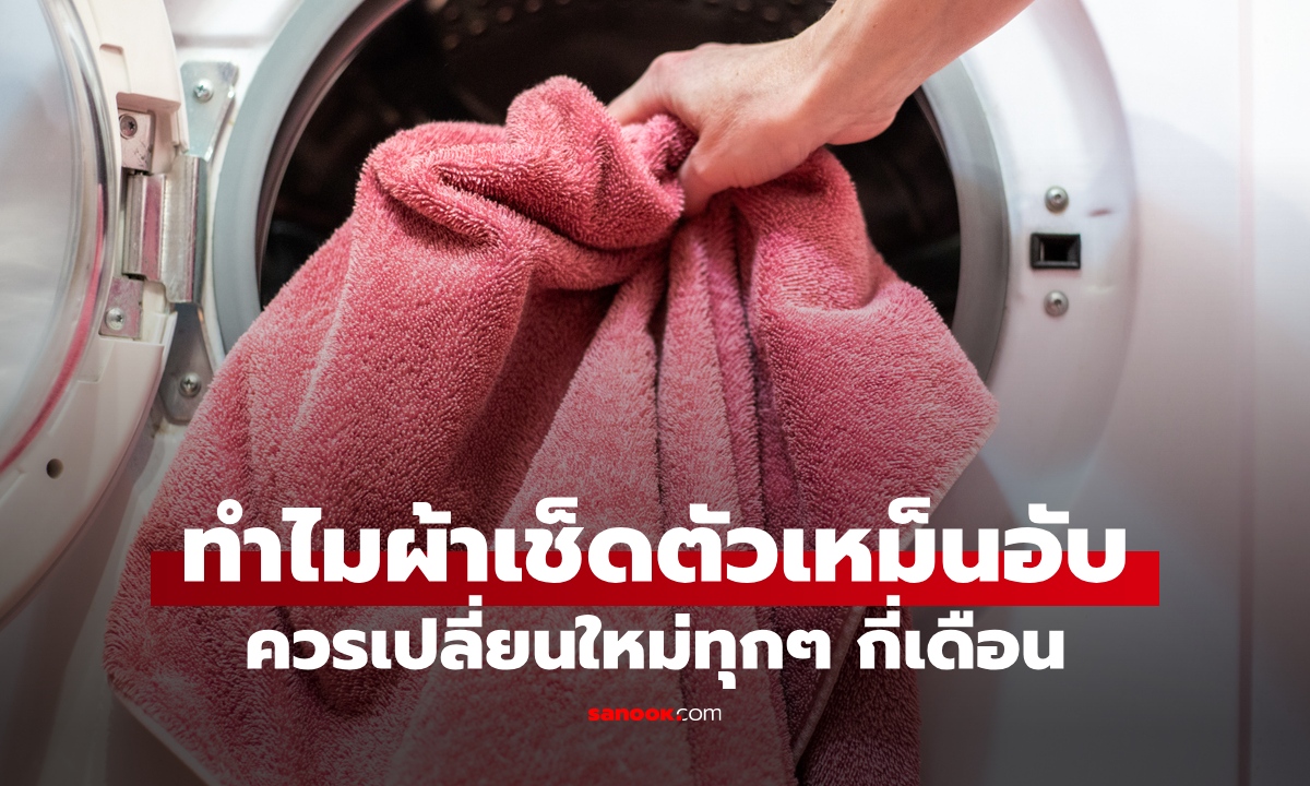 เปิดสาเหตุ "ผ้าเช็ดตัว" ซักแล้วทำไมยังเหม็นอับ ควรเปลี่ยนใหม่ทุก ๆ กี่เดือน?