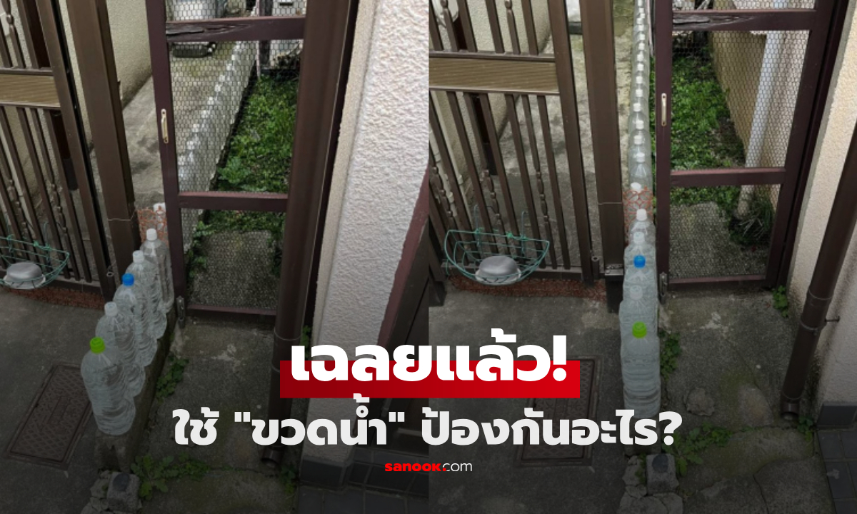 คนญี่ปุ่นวาง "ขวดน้ำ" เรียงเต็มหน้าบ้าน เพื่อป้องกันอะไร? เฉลยแล้ว คนไทยก็ทำตามได้!