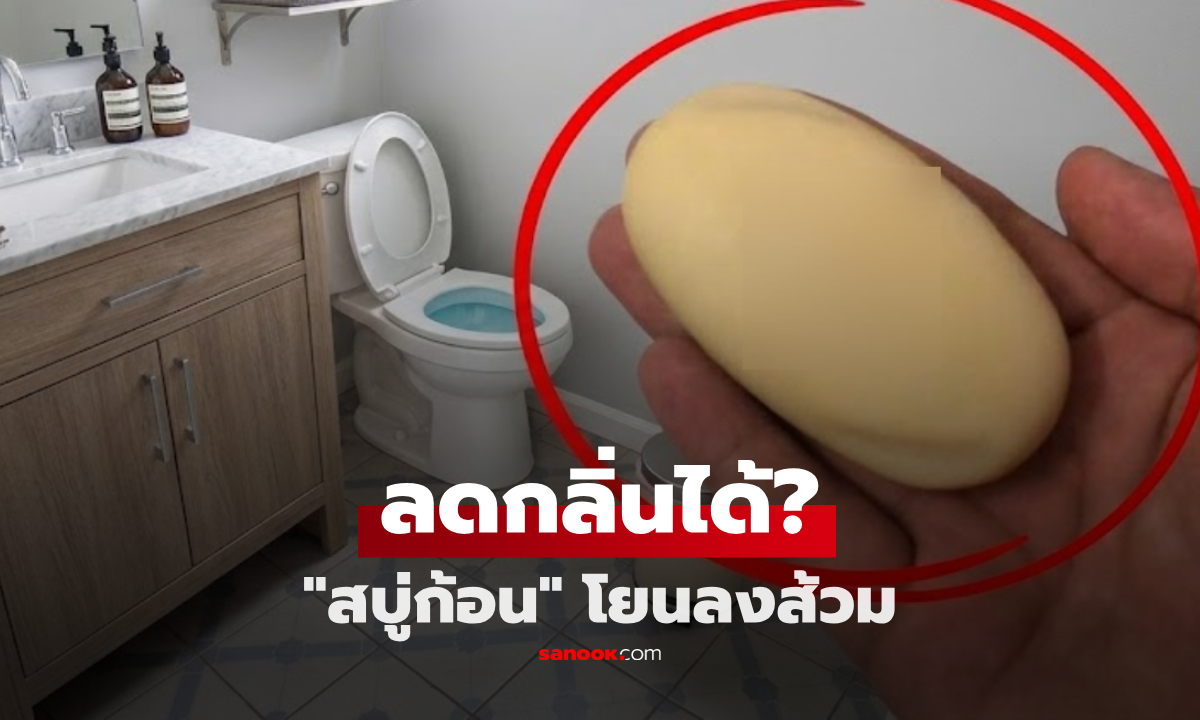 "สบู่ก้อน" โยนลงชักโครก ช่วยลดกลิ่นได้ไหม? เผยวิธีที่ "ง่ายกว่า" หอมแบบไม่เสี่ยงท่อตัน!