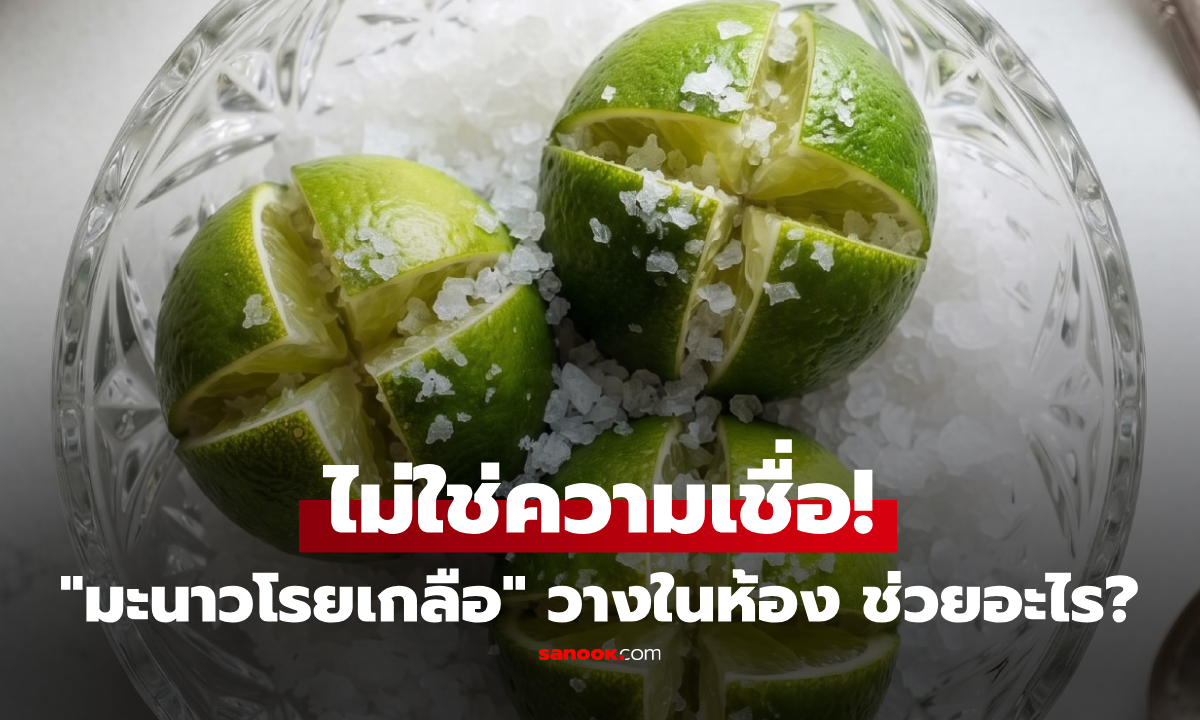 วางชาม 