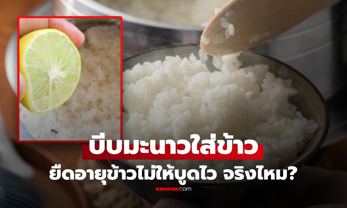 "บีบมะนาวใส่ข้าวตอนหุง" ช่วยให้ข้าว "ไม่บูดง่าย" จริงไหม? เช็กให้ดีก่อนเข้าใจผิด