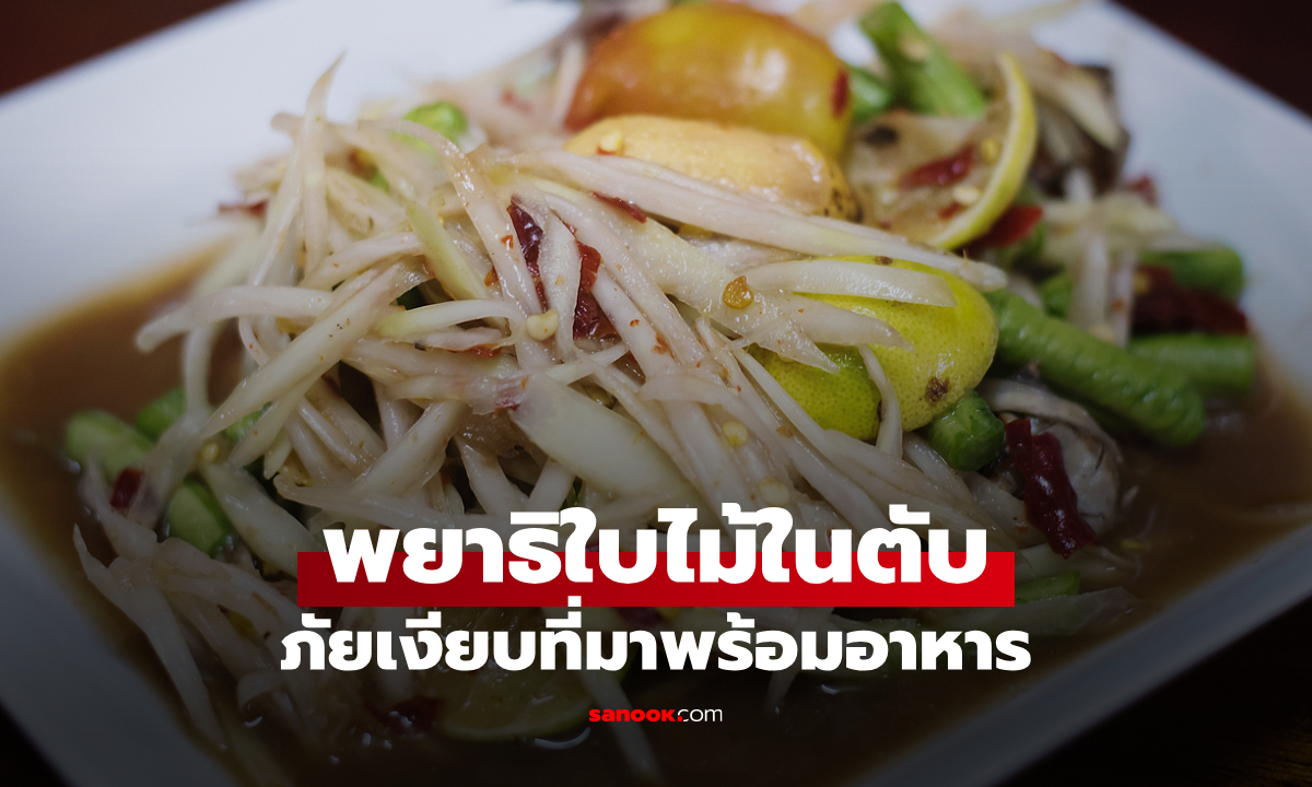 ทำความรู้จัก "พยาธิใบไม้ตับ" ภัยเงียบที่มากับอาหาร ปัจจัยเสี่ยงมะเร็งท่อน้ำดี