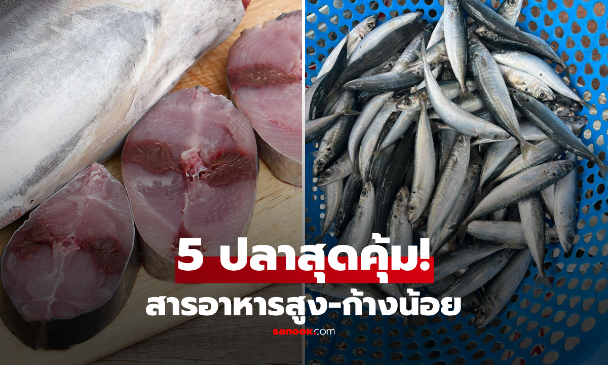 เนื้อแน่นก้างน้อย! เปิดโผ 5 "ปลาน่าซื้อ" ราคาดี-โปรตีนสูง ลิสต์เมนูเด็ดที่ควรมีติดบ้าน