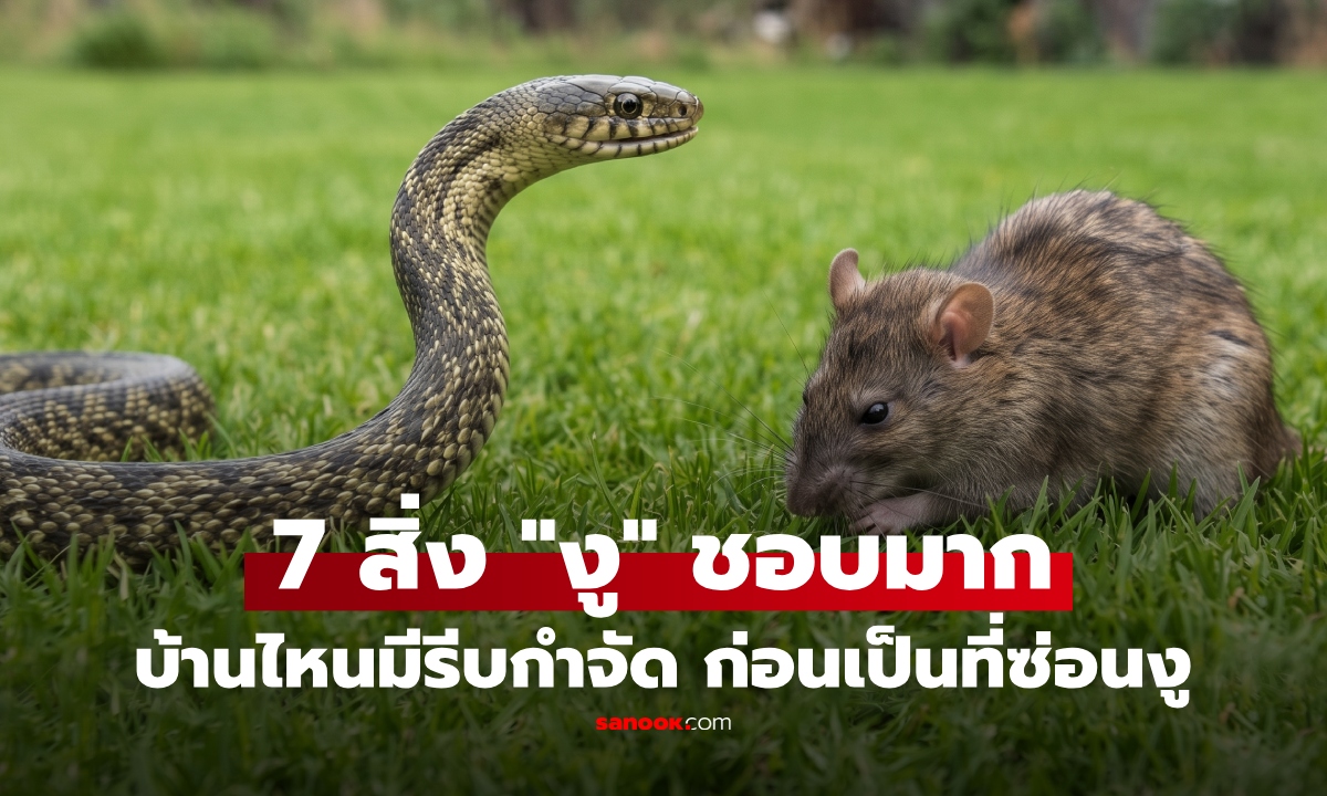 งูเข้าบ้านไม่ใช่เรื่องบังเอิญ! เช็ก 7 สิ่งที่ "ดึงดูดงู" รู้แล้วรีบกำจัด