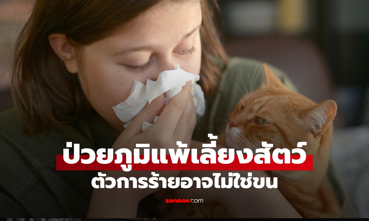 ป่วยภูมิแพ้ หอบหืด เลี้ยงสัตว์ได้ไหม? แพทย์ชี้ตัวการร้ายอาจไม่ใช่ขนสัตว์