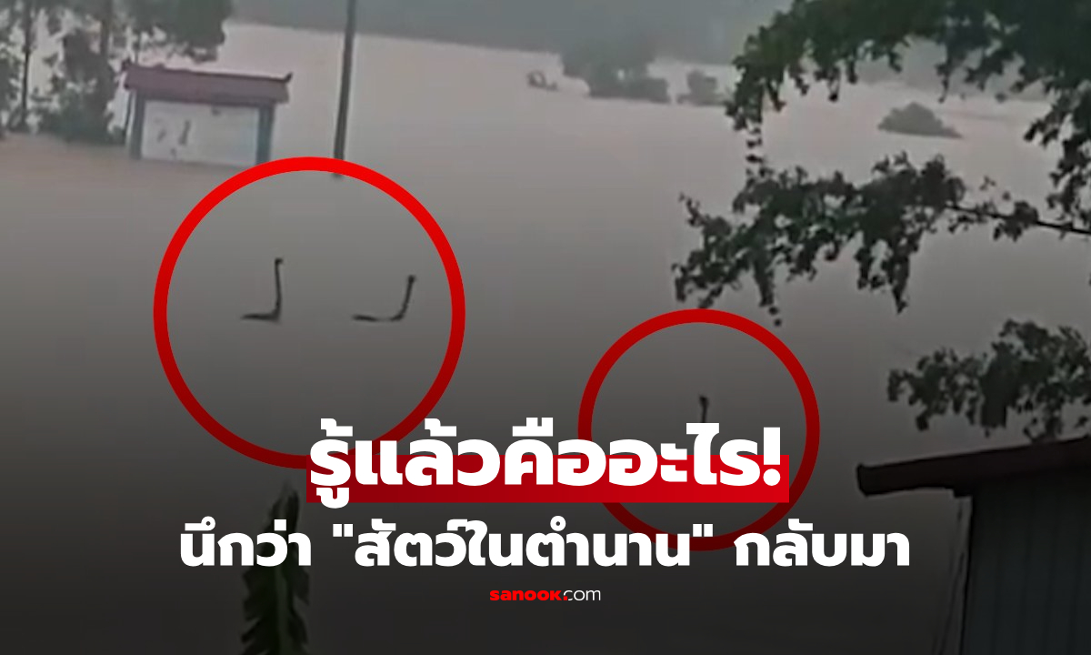 เฉลยรูปที่แตกตื่น "สัตว์ประหลาดในตำนาน" โผล่ชูคอกลางน้ำท่วมจีน ความจริงพีกยิ่งกว่าเดิม!