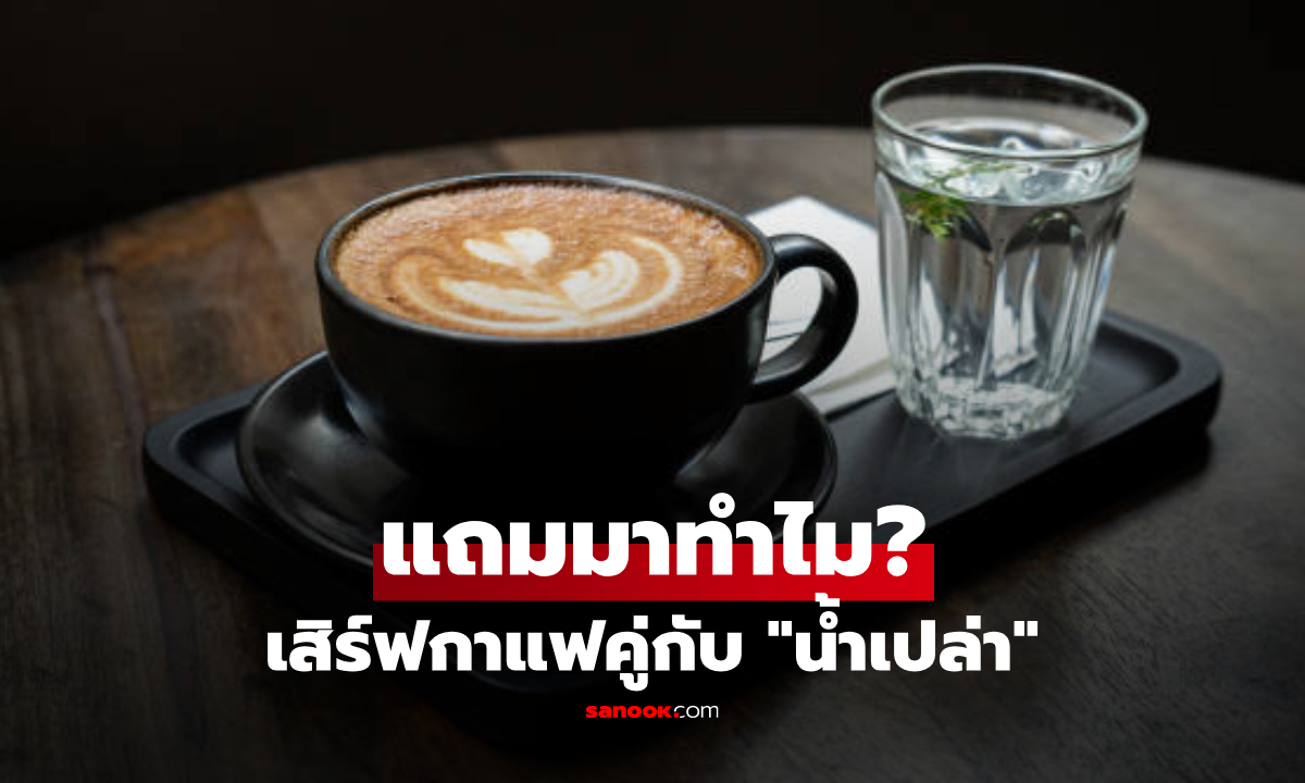ทำไมร้านต้องเสิร์ฟ "น้ำเปล่า" มาคู่กับกาแฟ? เผยเบื้องหลังแก้วฟรีที่หลายคนมองข้าม!