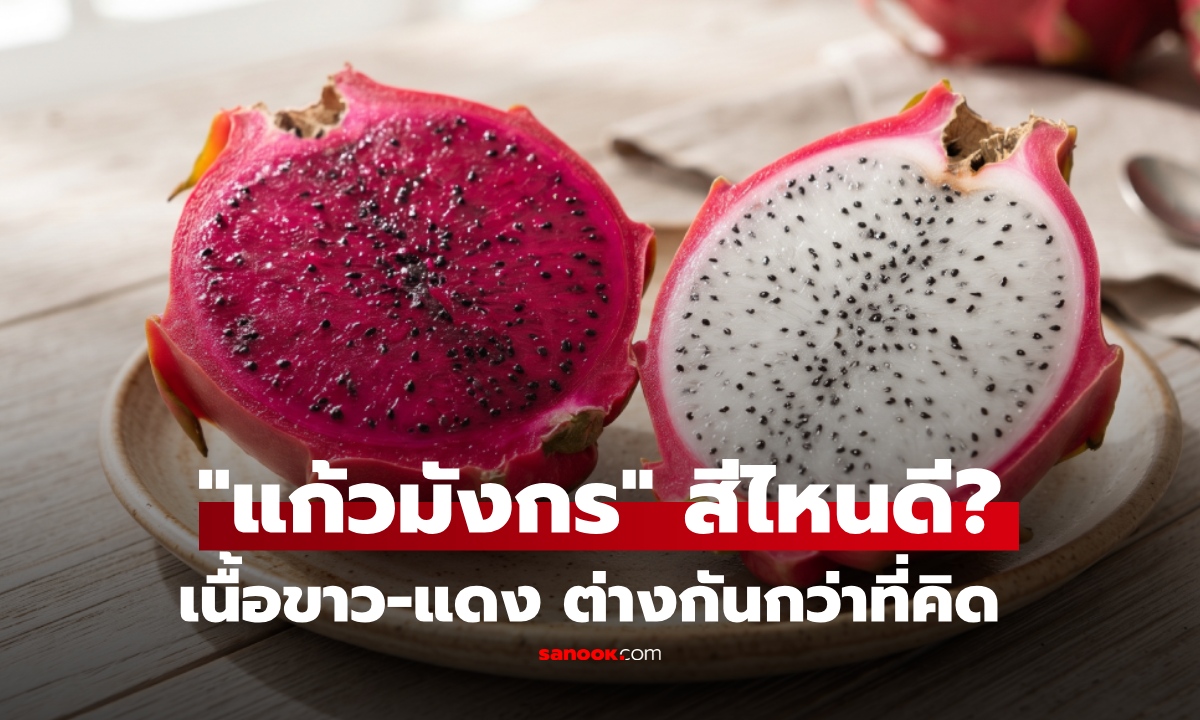 แก้วมังกรเนื้อสีขาว vs สีแดง ต่างกันยังไง? กินสีไหนดี เลือกให้ถูก คุ้มค่าได้ประโยชน์