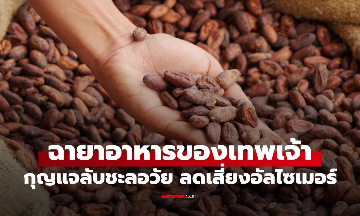 พืชที่ได้ฉายา "อาหารของเทพเจ้า" กุญแจลับแห่งการชะลอวัย ลดเสี่ยงอัลไซเมอร์