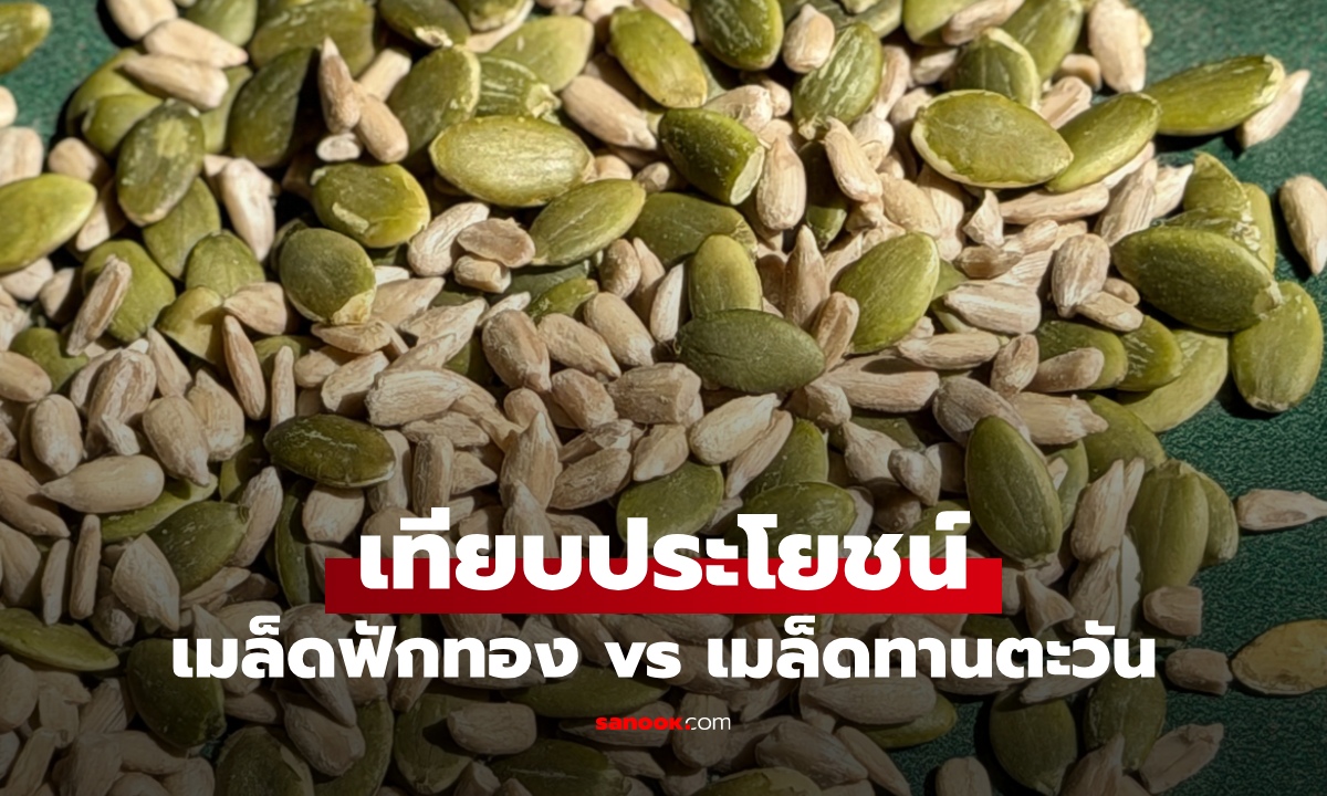 เมล็ดฟักทอง vs เมล็ดทานตะวัน เทียบประโยชน์สารอาหาร เลือกกินแบบไหนดีกว่ากัน?