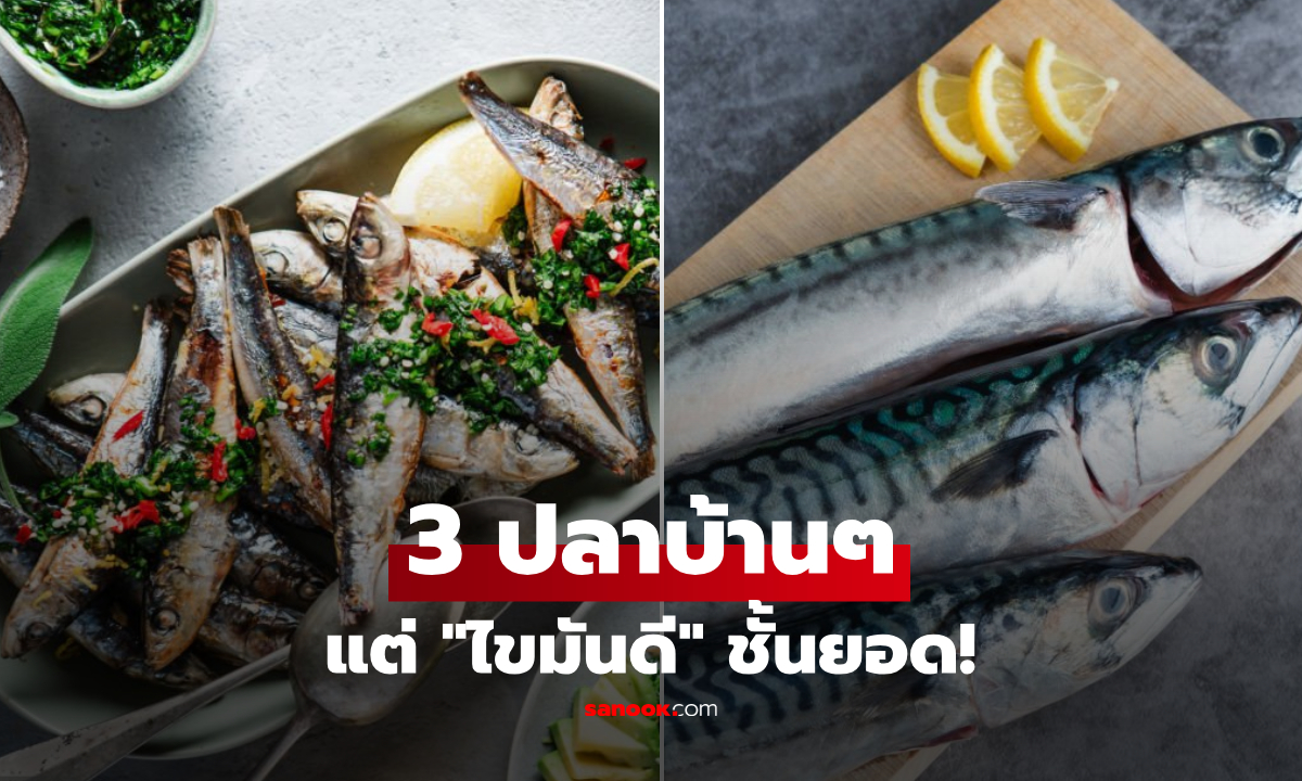 3 ปลาราคาบ้านๆ แต่เป็น "แหล่งไขมันดีชั้นยอด" โอเมก้า 3 สูงลิ่ว เบียดแซลมอนหลบไป!