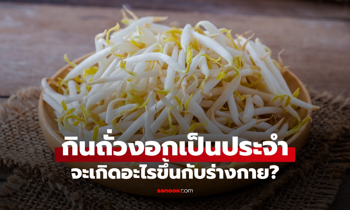 กินถั่วงอกประจำ จะเกิดอะไรขึ้นกับร่างกาย? ผักสามัญประจำบ้าน มีทั้งประโยชน์และโทษ