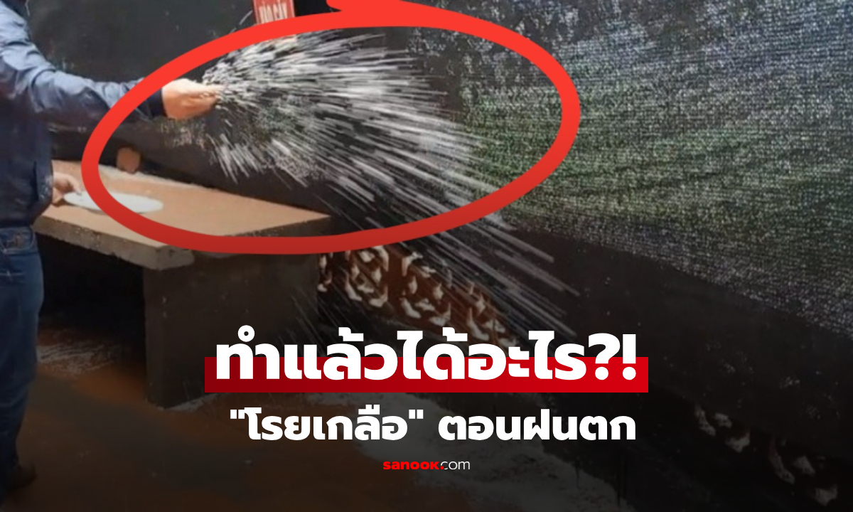 ทำไมควรโรย "เกลือ" ไว้รอบบ้านในวันที่ฝนตก? ต่างชาติแชร์เคล็ดลับที่คนไทยอาจไม่รู้!