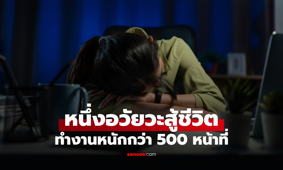 ไม่ใช่หัวใจ! "อวัยวะสู้ชีวิต" ทำงานหนักกว่า 500 หน้าที่ ไม่มีวันหยุดแม้แต่วินาทีเดียว