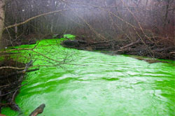 ตะลึง! พบแม่น้ำกลายเป็นสีเขียว