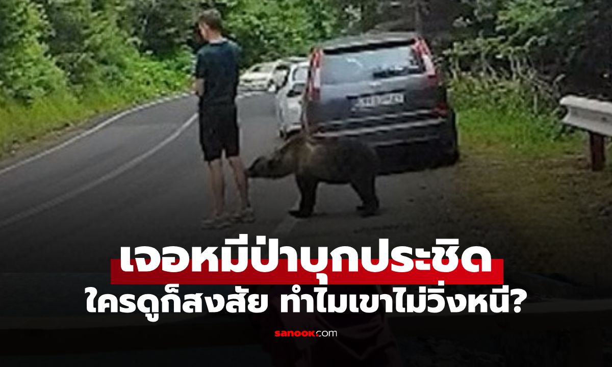 คลิปนาทีชีวิต หนุ่มถูก "หมีป่า" บุกประกบขาแต่ยืนเฉย ใครดูก็สงสัย ทำไมไมวิ่ง?