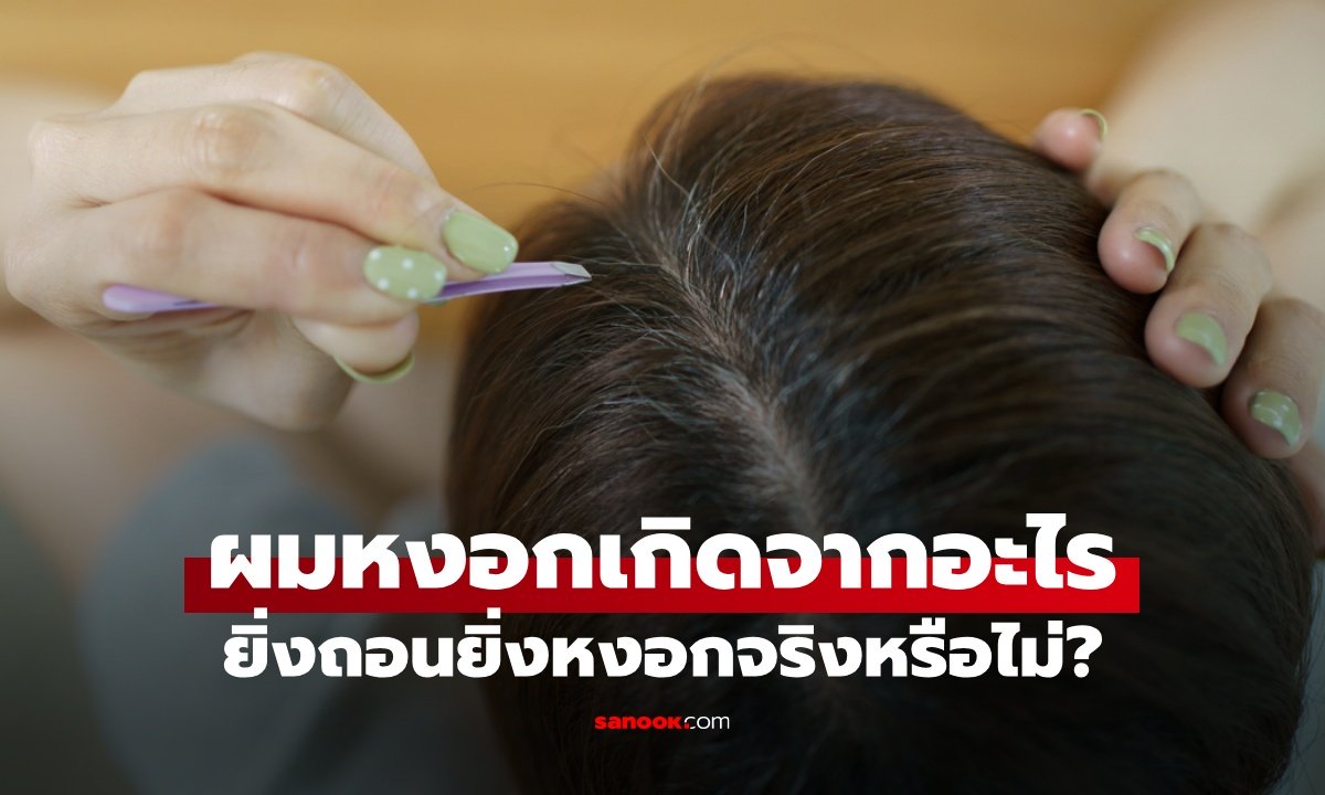 ไขข้อสงสัย "ผมหงอก" เกิดจากอะไร กลับมาดําได้ไหม ยิ่งถอนยิ่งหงอกจริงหรือไม่?