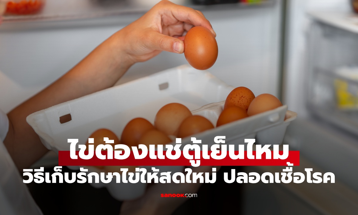 ไข่ต้องแช่ตู้เย็นไหม? วิธีเก็บรักษาไข่ให้สดใหม่ ปลอดภัยจากเชื้อโรค