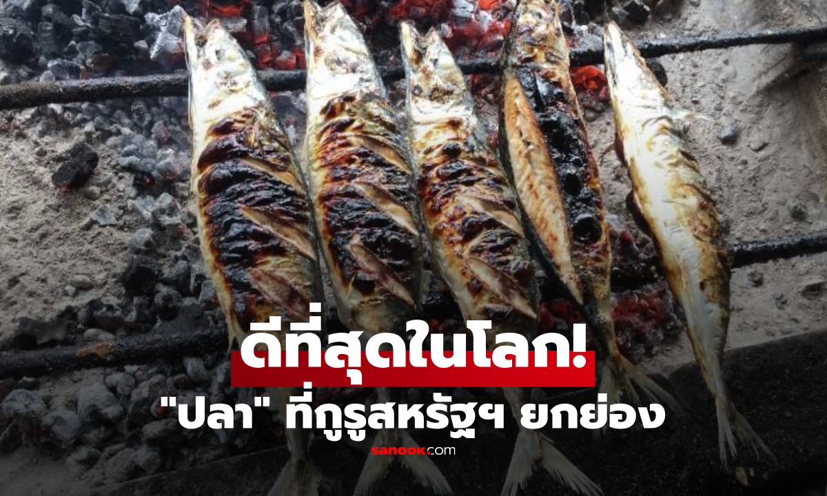 สื่อสหรัฐฯ อวยยศ "ปลาที่ดีที่สุดในโลก" ตัวเล็กๆ แต่โปรตีนสูง-ไขมันดีเด่น และเสี่ยงปรอทต่ำ!