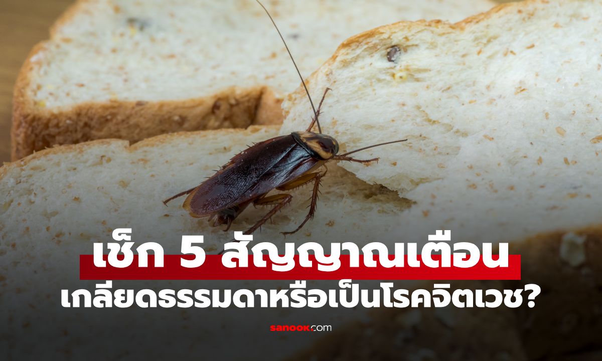 ทำไมบางคนกลัวแมลงสาบขั้นสุด? หมอเผยสาเหตุแท้จริง เช็ก 5 สัญญาณเตือน