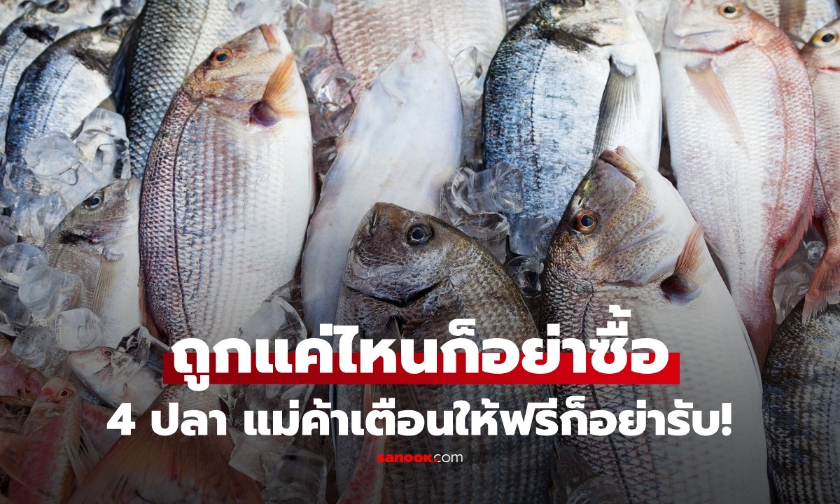 แม่ค้าเตือนเอง 4 ปลา "อย่าซื้อ" ให้ฟรีก็อย่ารับ บางตัวดูสดแต่กินแล้วเสี่ยง!