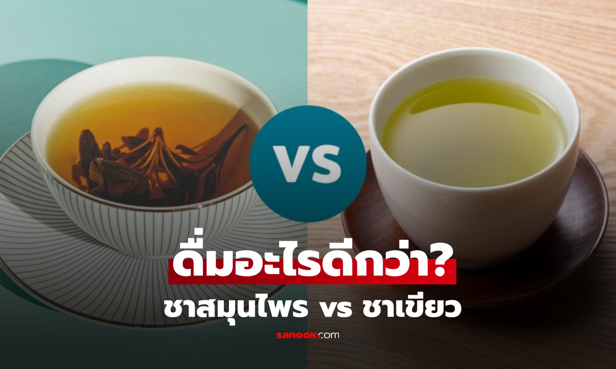 ชาสมุนไพร vs ชาเขียว ดื่มแบบไหน "ดีกว่า" ต่อลำไส้-ต้านอนุมูลอิสระ? เฉลยศึกน้ำสุขภาพ!