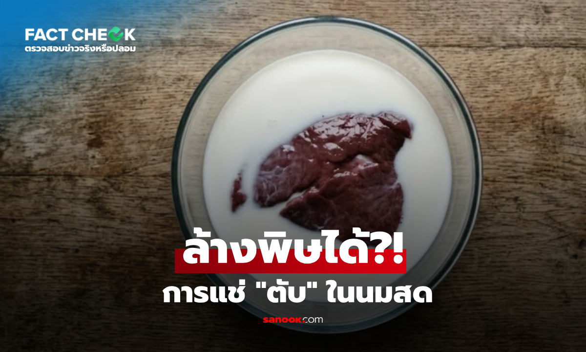 แช่ตับในนมสด ช่วยล้างพิษได้จริงหรือไม่? : เช็กข่าวชัวร์