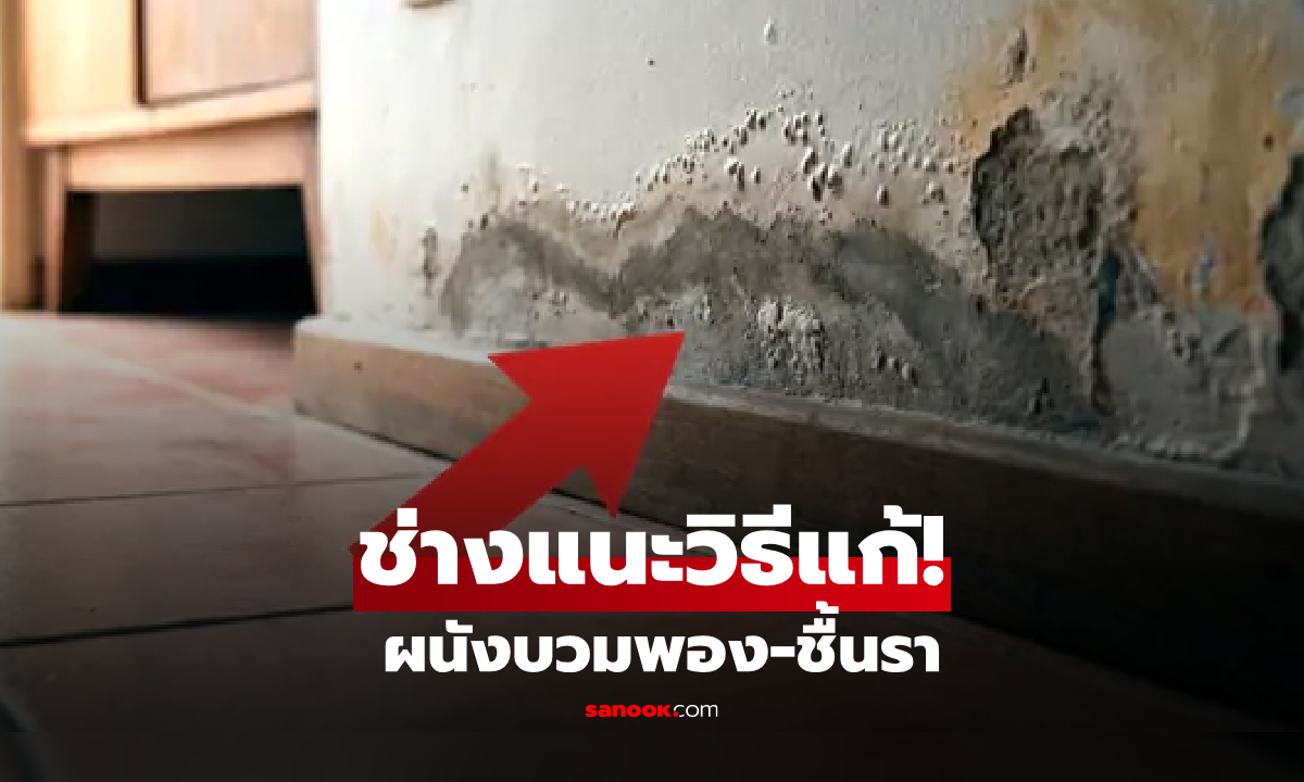 อย่าเพิ่งทาสีทับ! ช่างแนะวิธีแก้ "ผนังพอง-ชื้นรา" ตรงจุดจากต้นเหตุ และไม่กลับมาเป็นซ้ำ