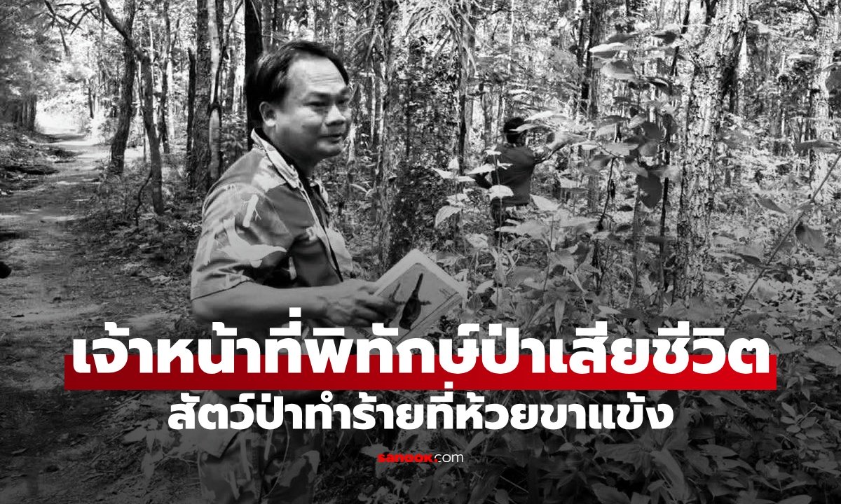 เจ้าหน้าที่พิทักษ์ป่าห้วยขาแข้ง เสียชีวิต ถูกสัตว์ป่าทำร้ายในที่พัก ก่อนลากร่างหายไป