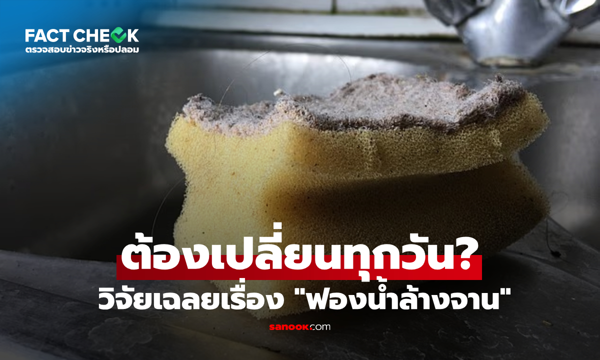 "ฟองน้ำล้างจาน" ต้องเปลี่ยนทุกวัน? นักวิจัยเฉลยแล้ว เมื่อไหร่ที่ควรทิ้งทันที! : เช็กข่าวชัวร์