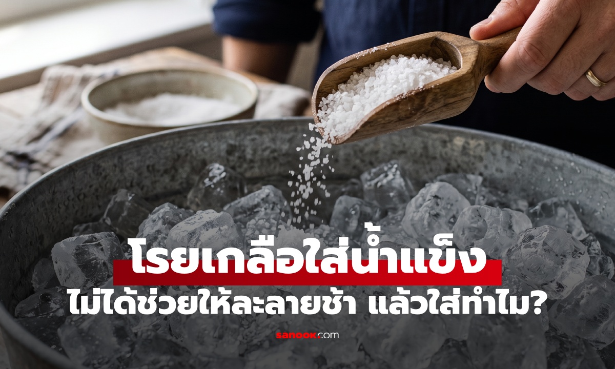 โรยเกลือในน้ำแข็ง ไม่ได้ทำให้น้ำแข็งละลายช้าลง เทคนิคแช่เย็นที่คนเข้าใจผิด!