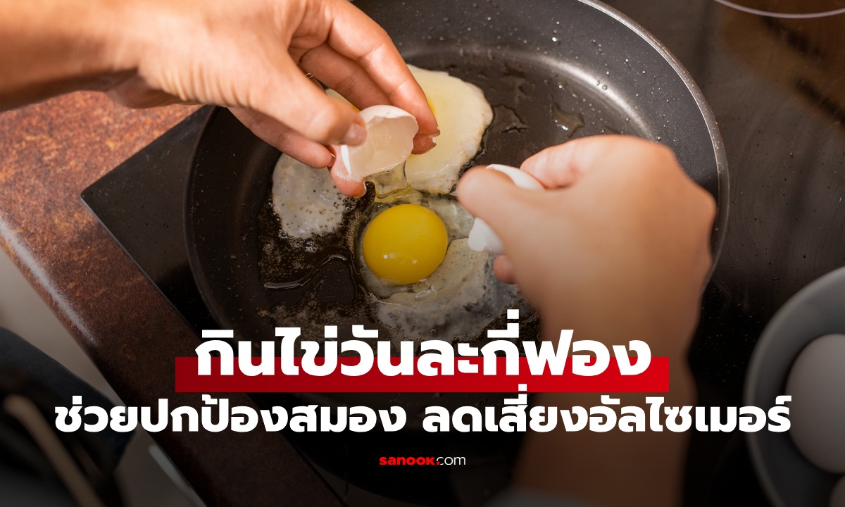 เปิดตัวเลขทองคำ กินไข่วันละกี่ฟอง? ถึงจะช่วยปกป้องสมอง ลดความเสี่ยงอัลไซเมอร์ได้