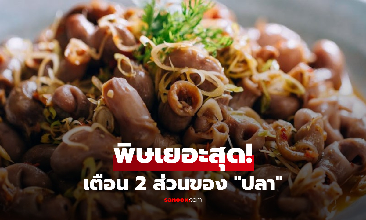 เตือนภัยสายกิน! 2 อวัยวะในตัวปลา แหล่งสะสมพิษร้ายแรงที่สุด ไม่ควรทานเด็ดขาด