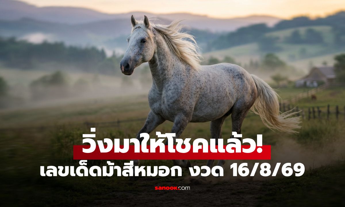 เลขเด็ดม้าสีหมอก งวด 16/8/69 สำนักดังแจกแนวทาง เลขเด่นหวย 16 ส.ค. 69